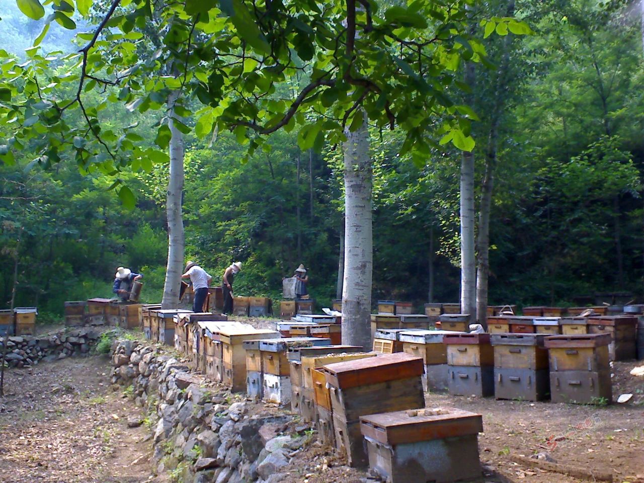 1627888010914501.jpg 1627888010914501.jpg